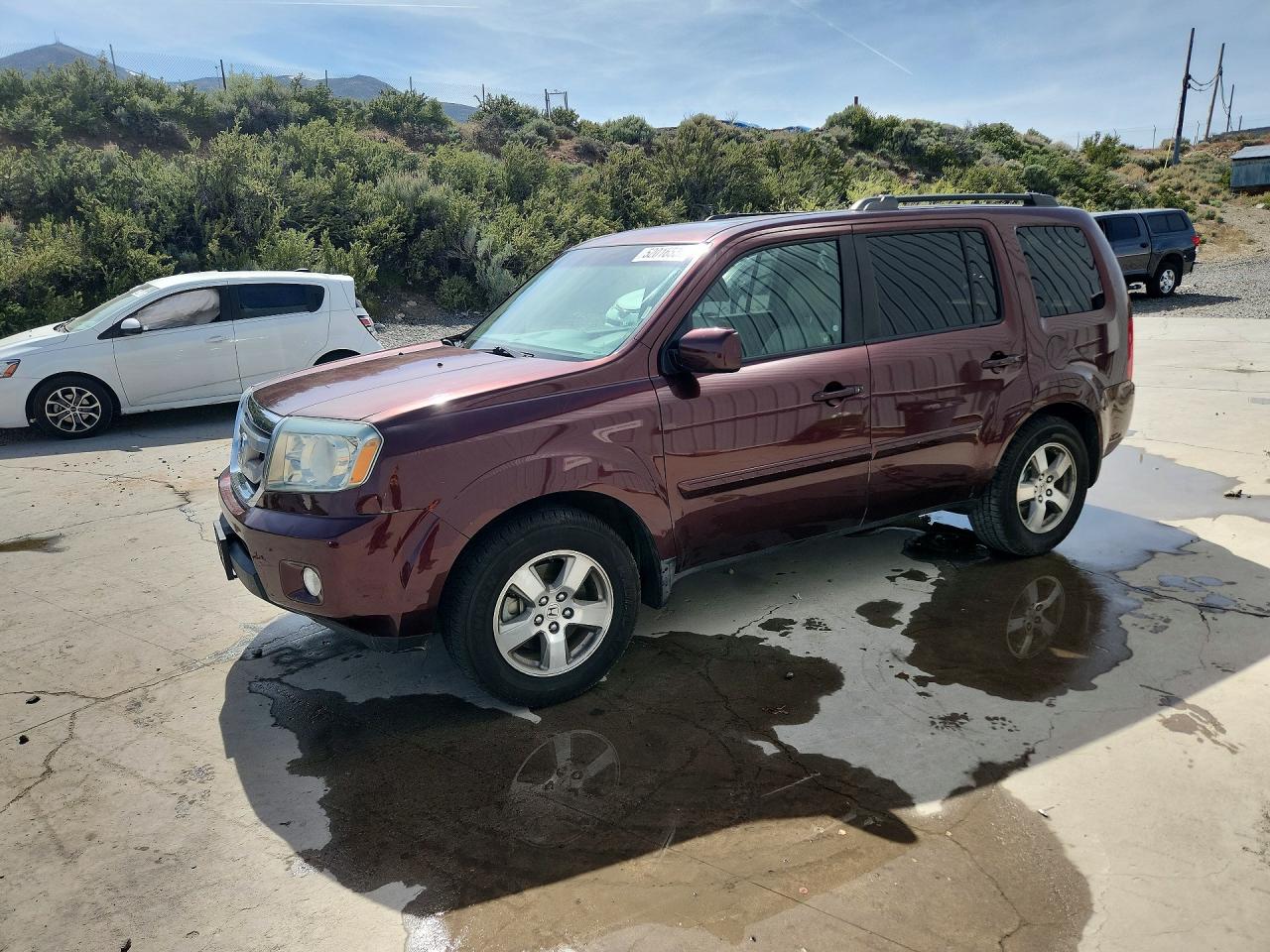 Salvage Honda Pilot Image