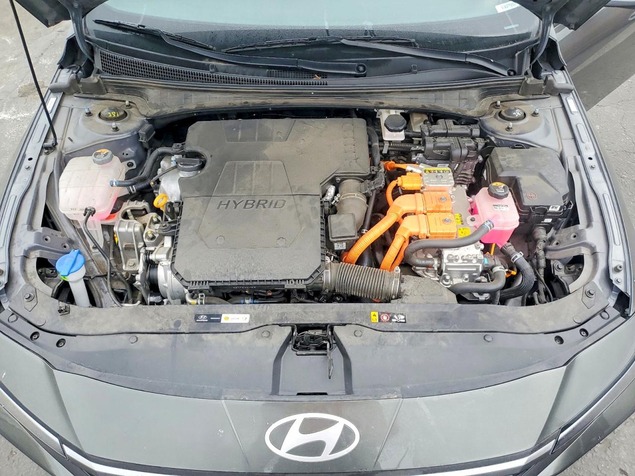 Hyundai ELANTRA Blue