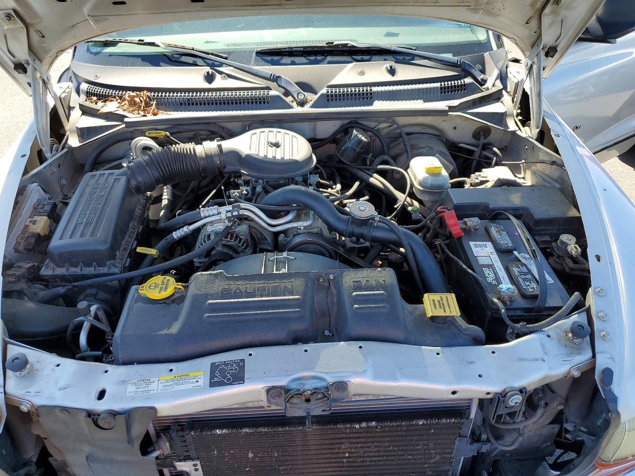 Dodge Dakota Quad Slt
