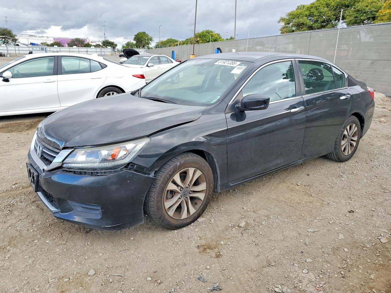 Salvage Honda Accord Image