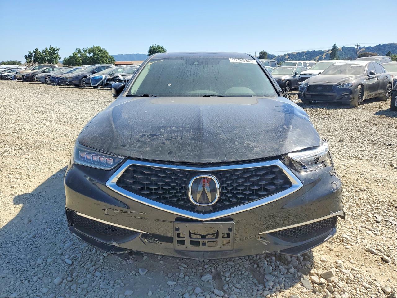 Acura TLX Tech