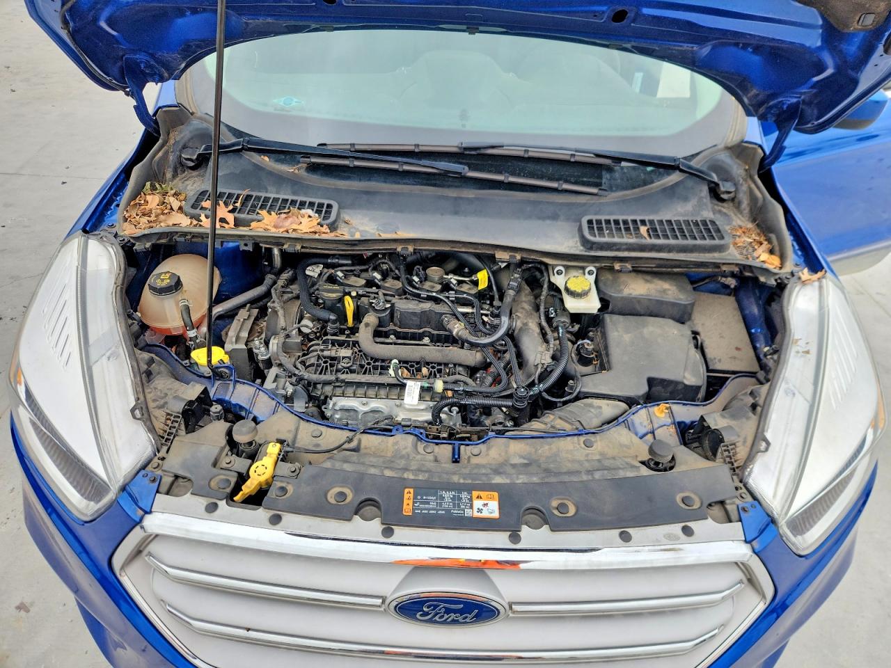Ford Escape Se