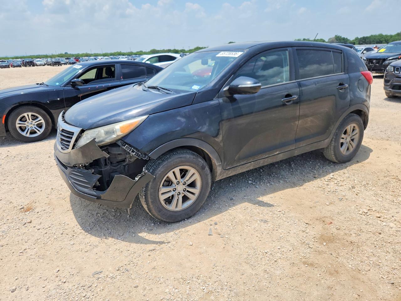 Salvage Kia Sportage Image