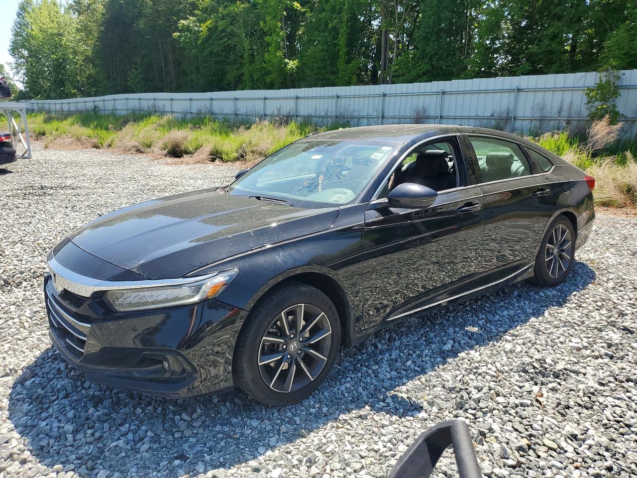 Salvage Honda Accord Image