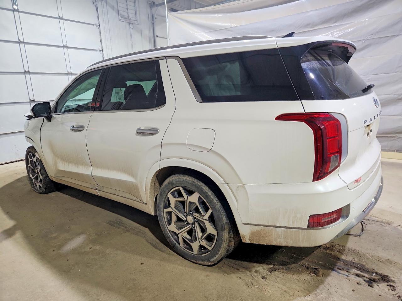 Hyundai PALISADE Calligraphy