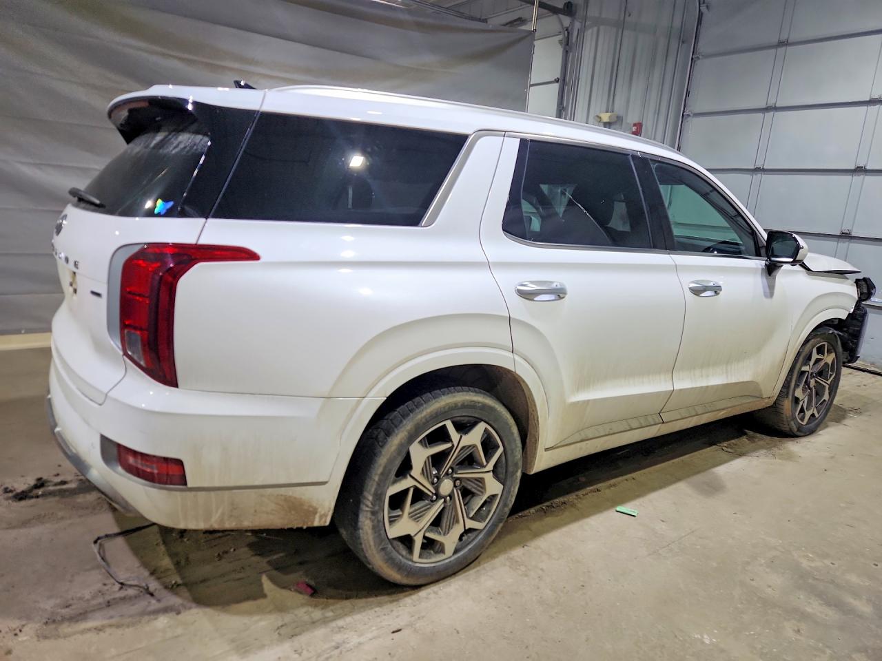 Hyundai PALISADE Calligraphy