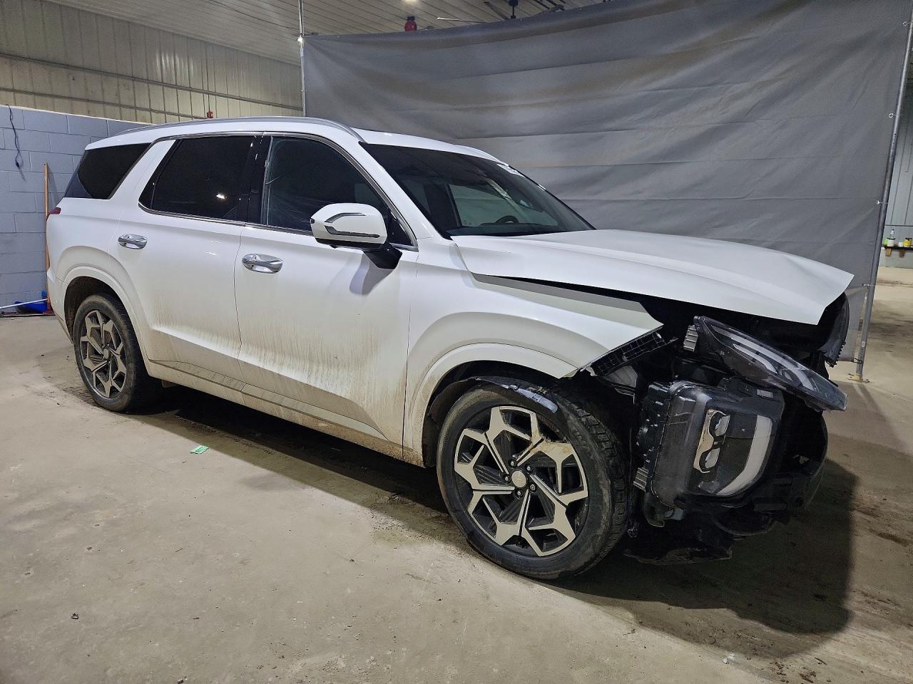 Hyundai PALISADE Calligraphy