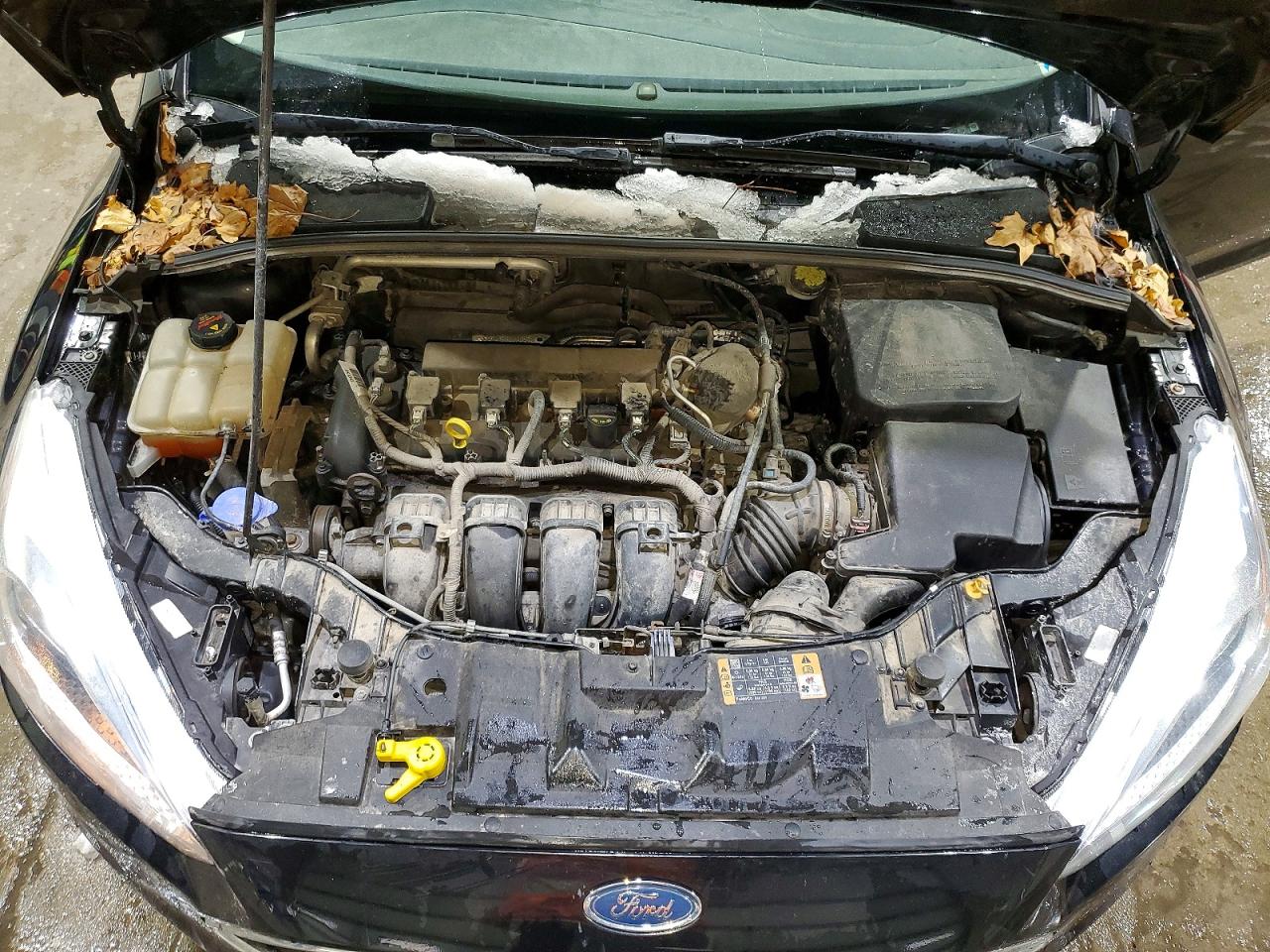 Ford Focus Se