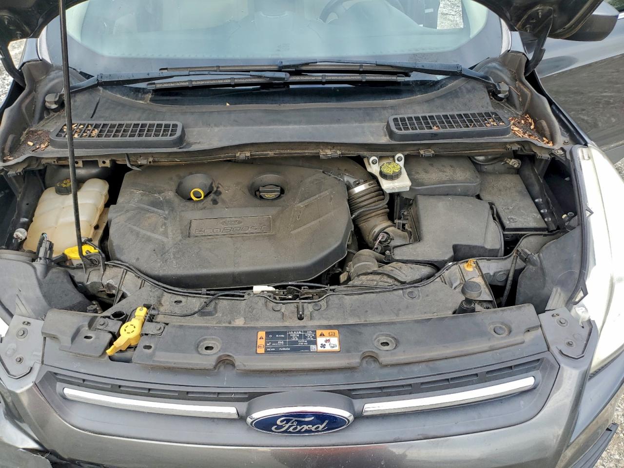 Ford Escape Se