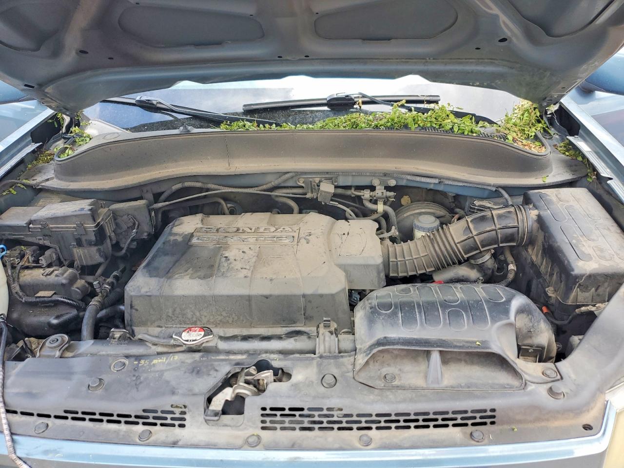 Honda Ridgeline Rtl