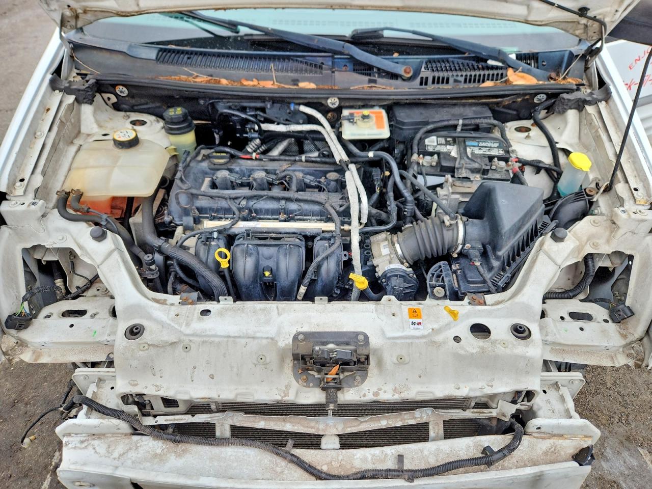 Ford Transit Xlt