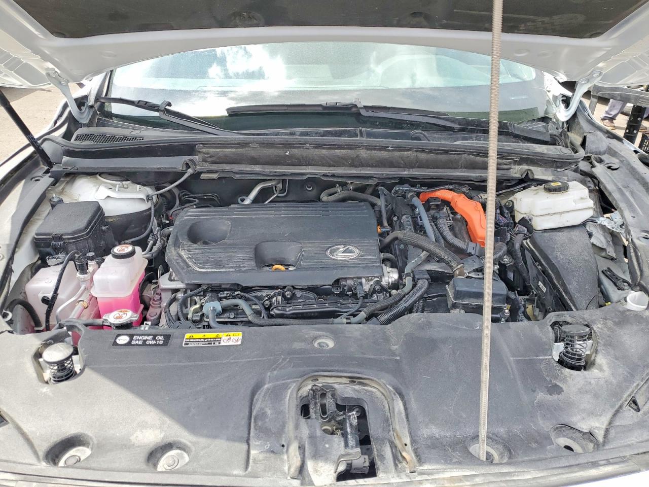 Lexus RX Premium