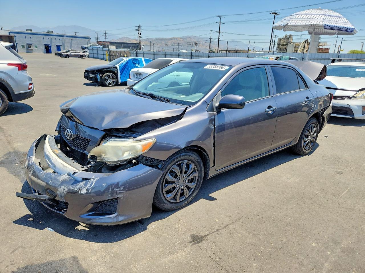 Salvage Toyota Corolla Image