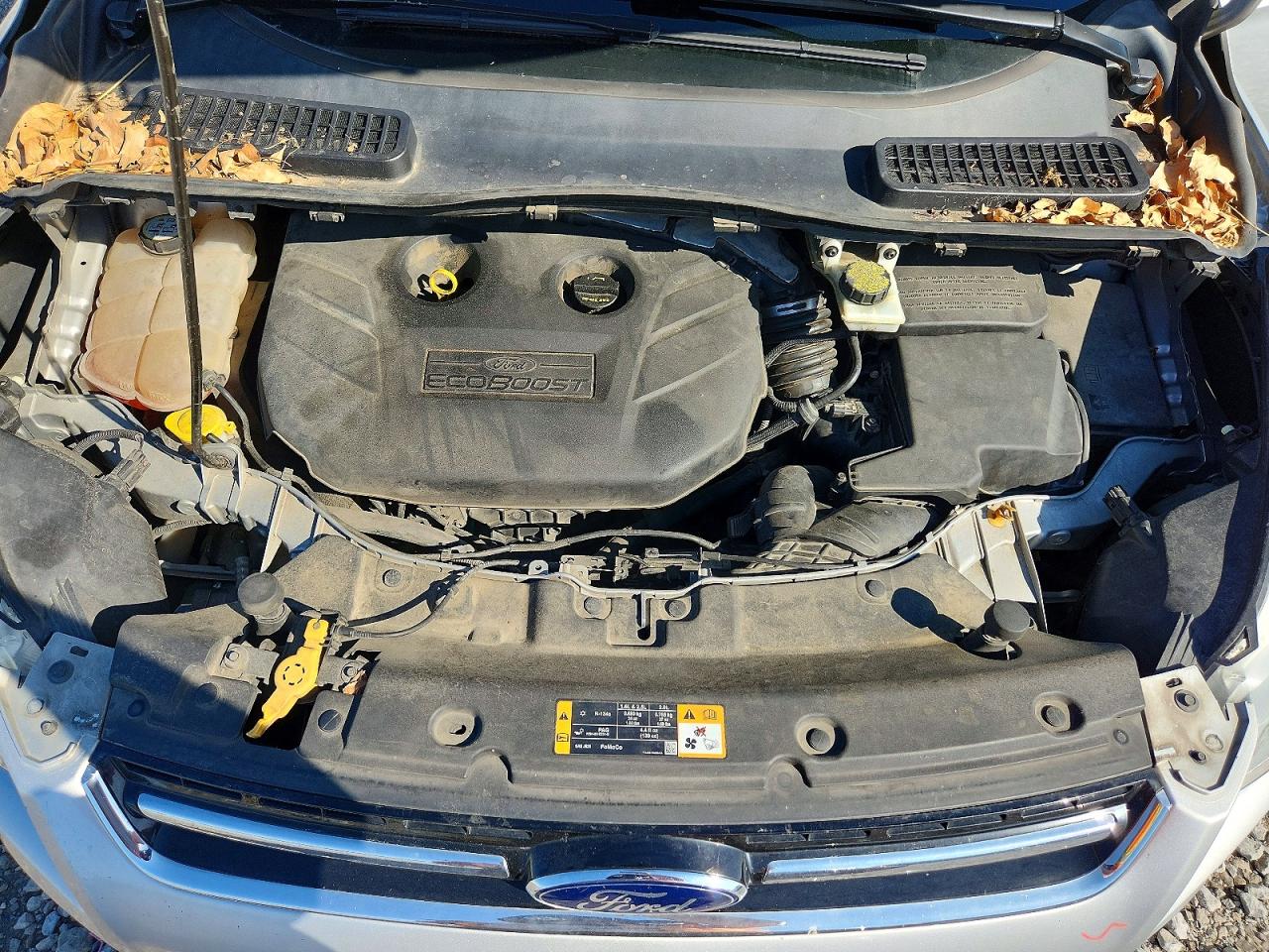 Ford Escape Sel
