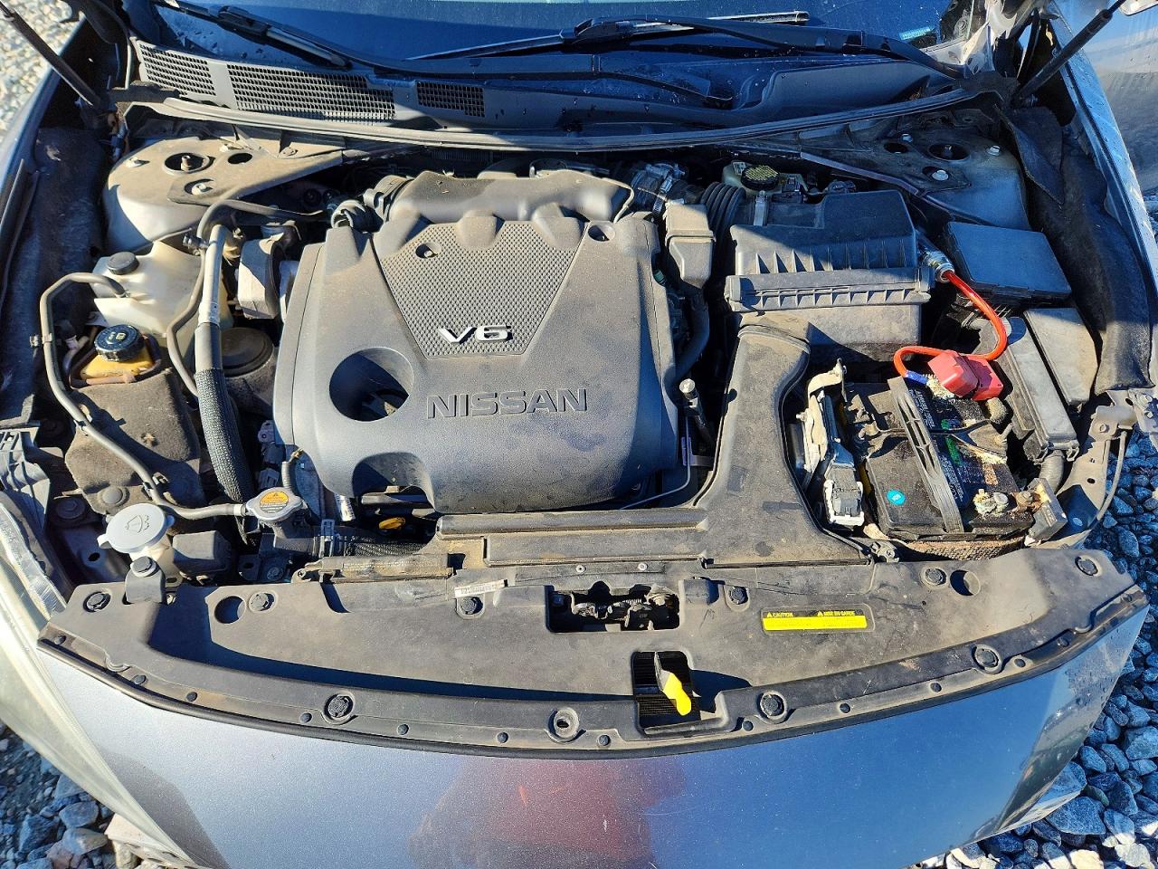 Nissan Maxima Platinum