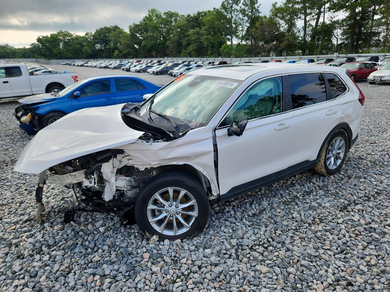 Salvage Honda Crv Image