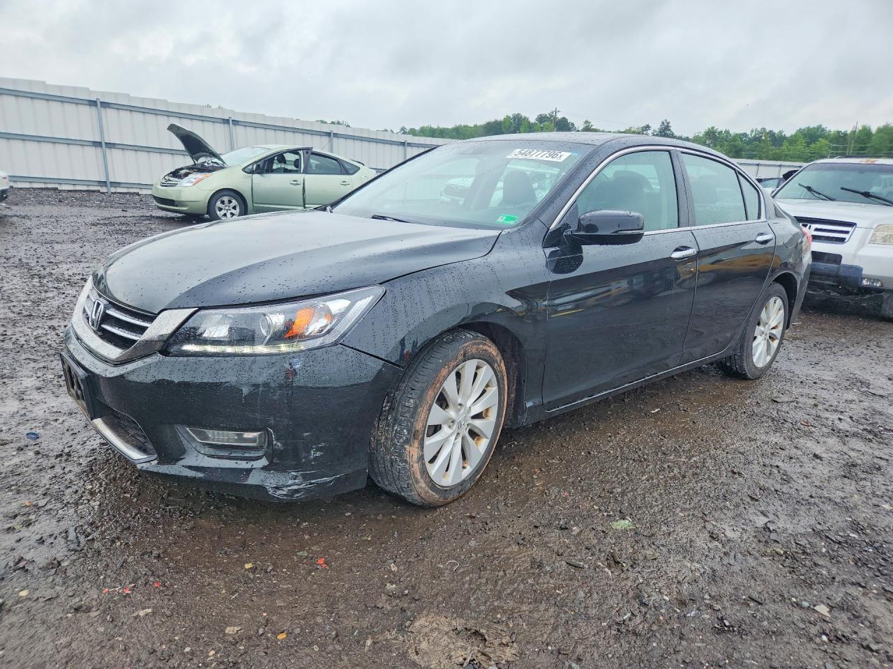 Salvage Honda Accord Image