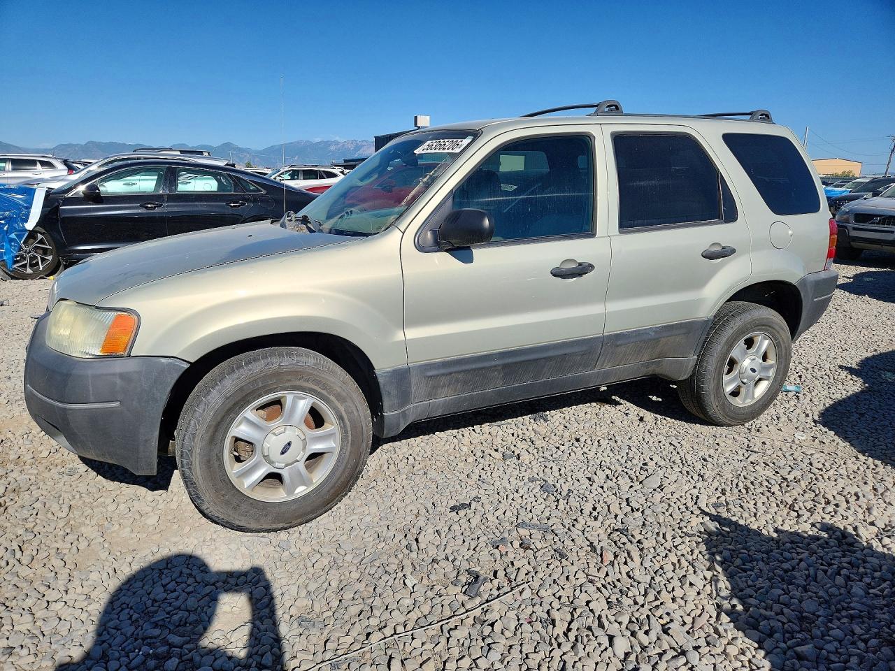 Salvage Ford Escape Image