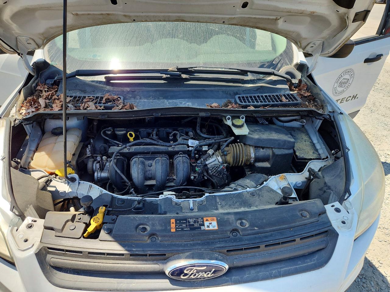 Ford Escape S