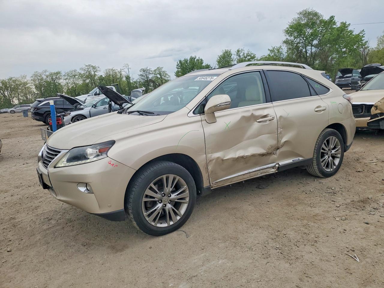 Salvage Lexus RX Image