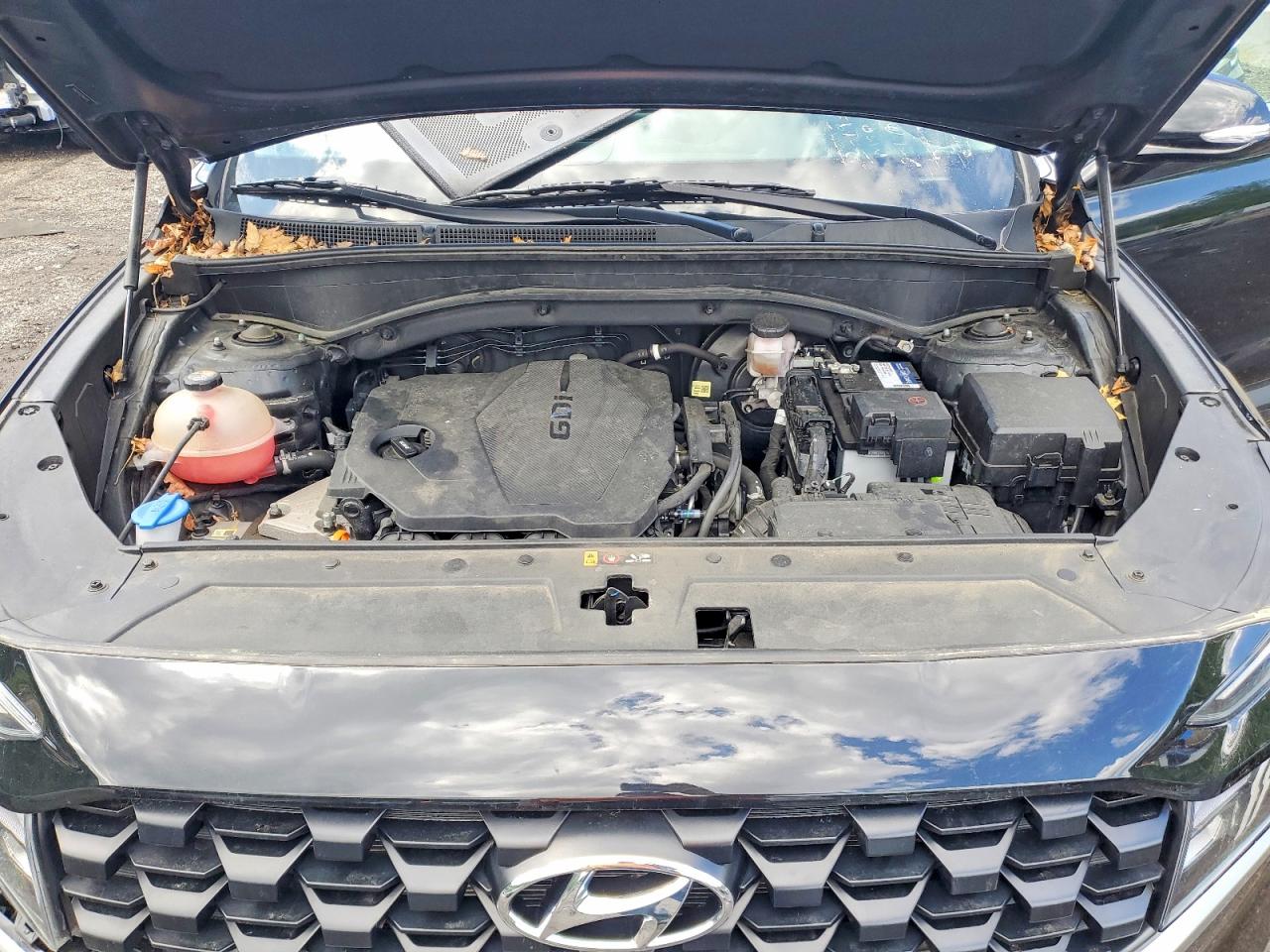 Hyundai SANTA FE Sel