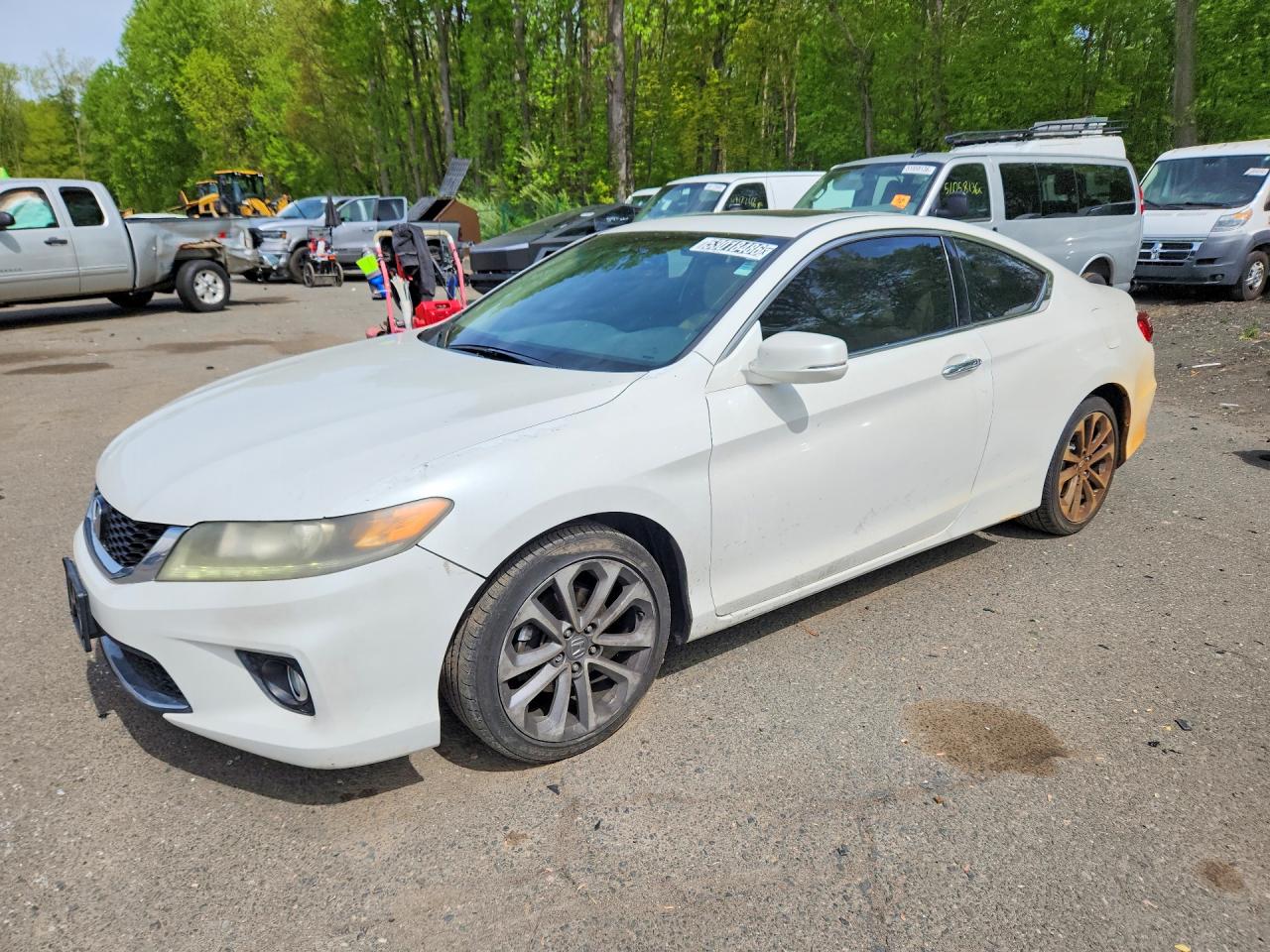 Salvage Honda Accord Image