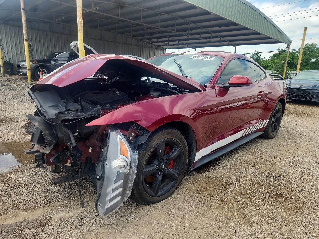 Salvage Ford Mustang Image