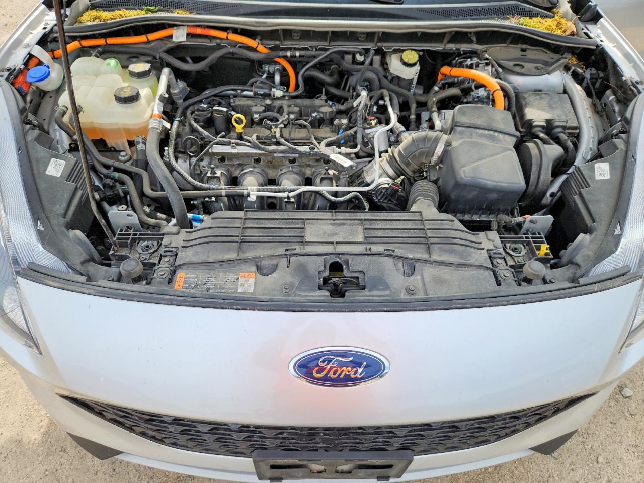 Ford Escape Se Sport