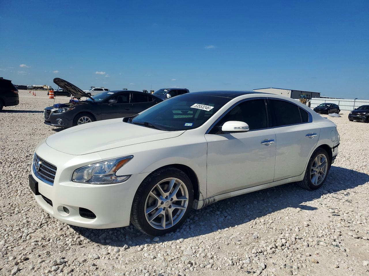 Salvage Nissan Maxima Image