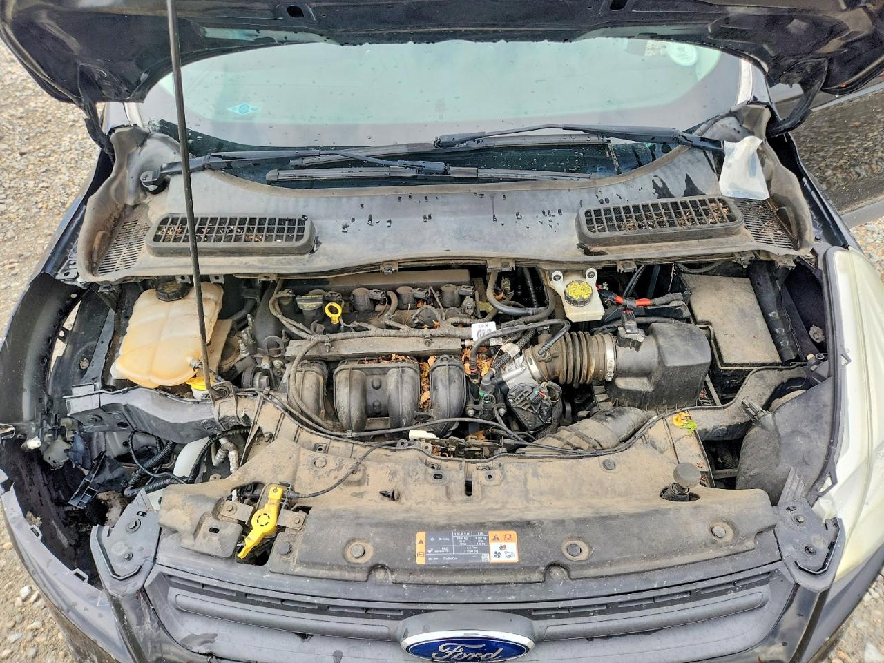 Ford Escape S