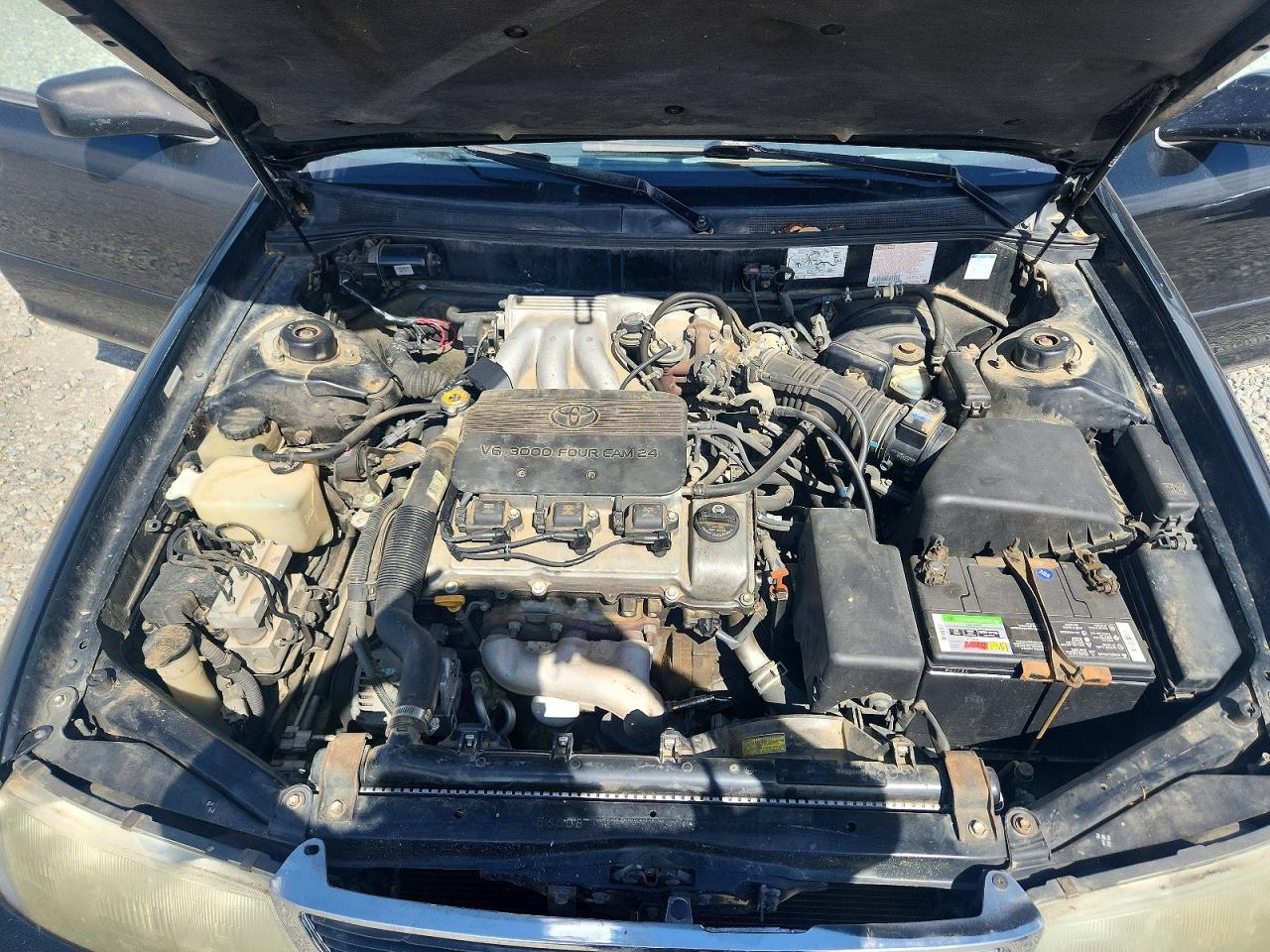 Toyota Avalon Xls