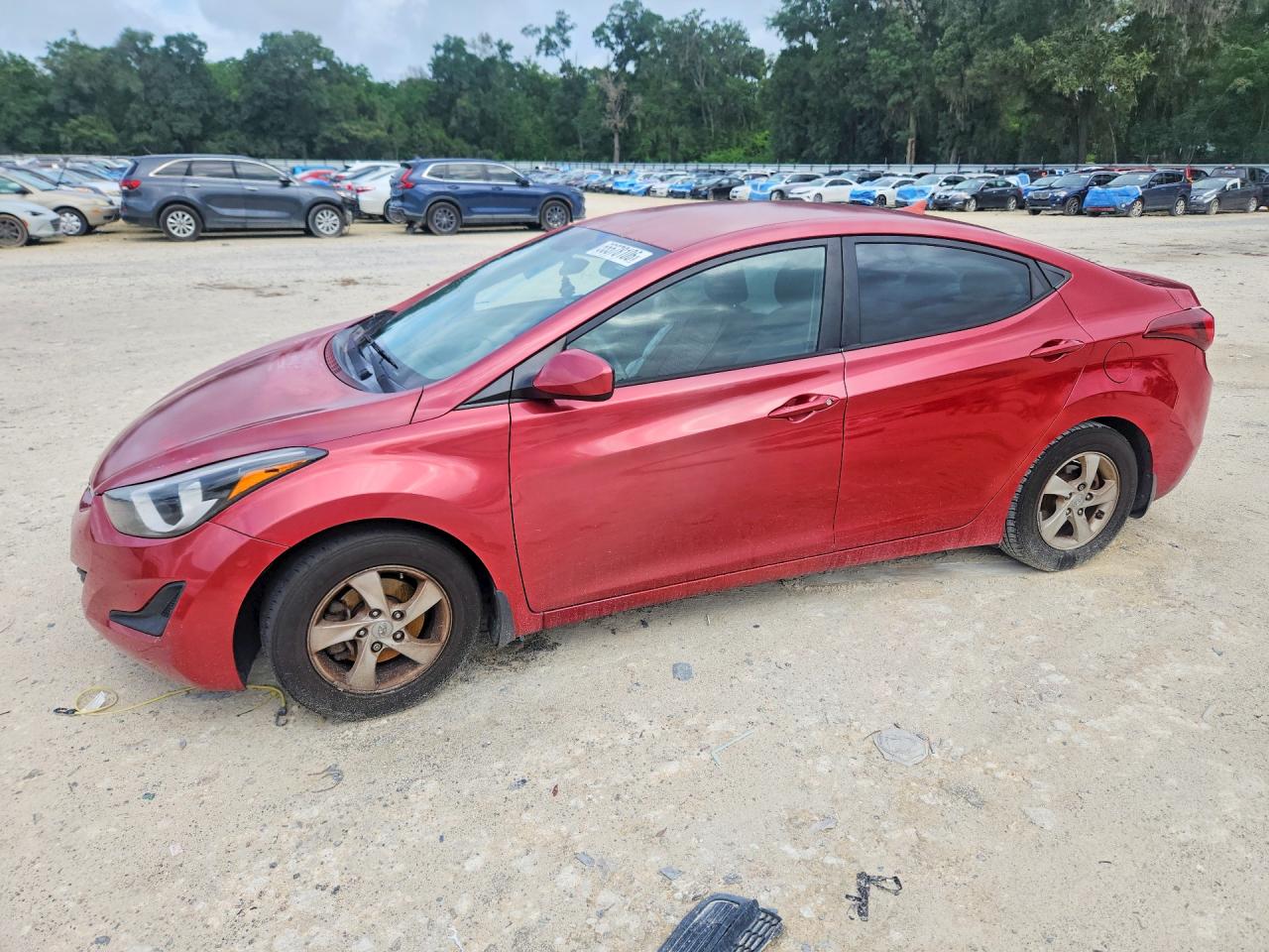 Salvage Hyundai ELANTRA Image