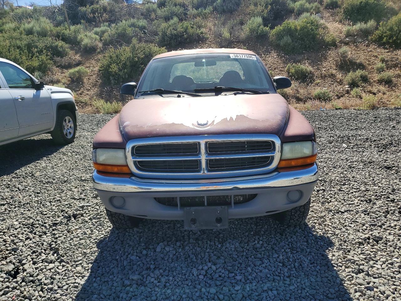 Dodge Dakota Quad