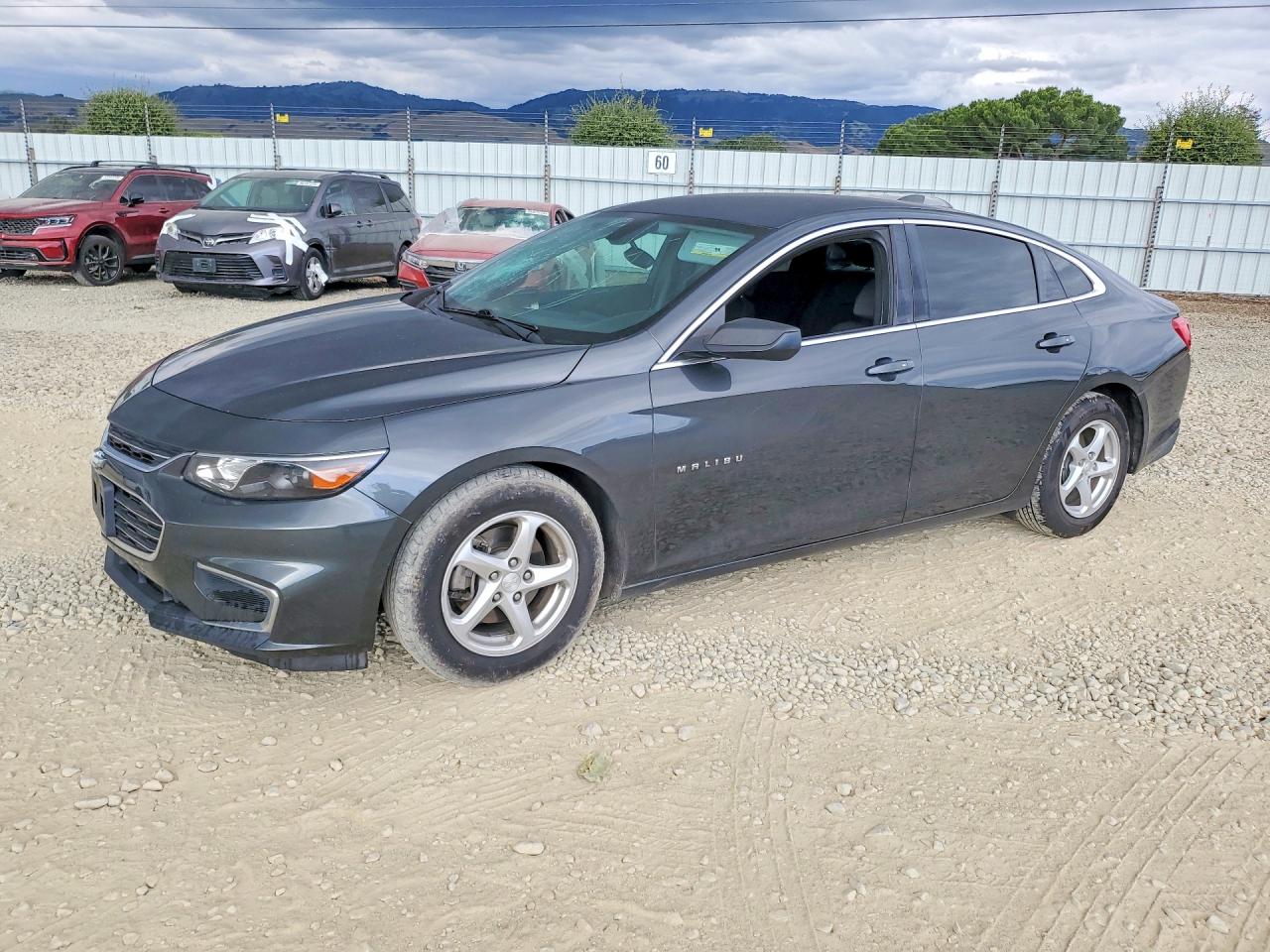 Salvage Chevrolet Malibu Image