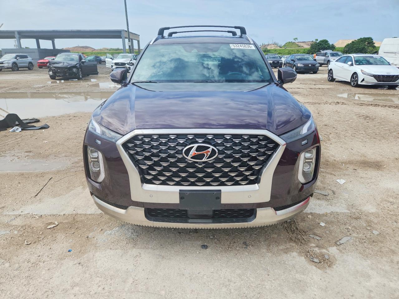 Hyundai PALISADE Calligraphy