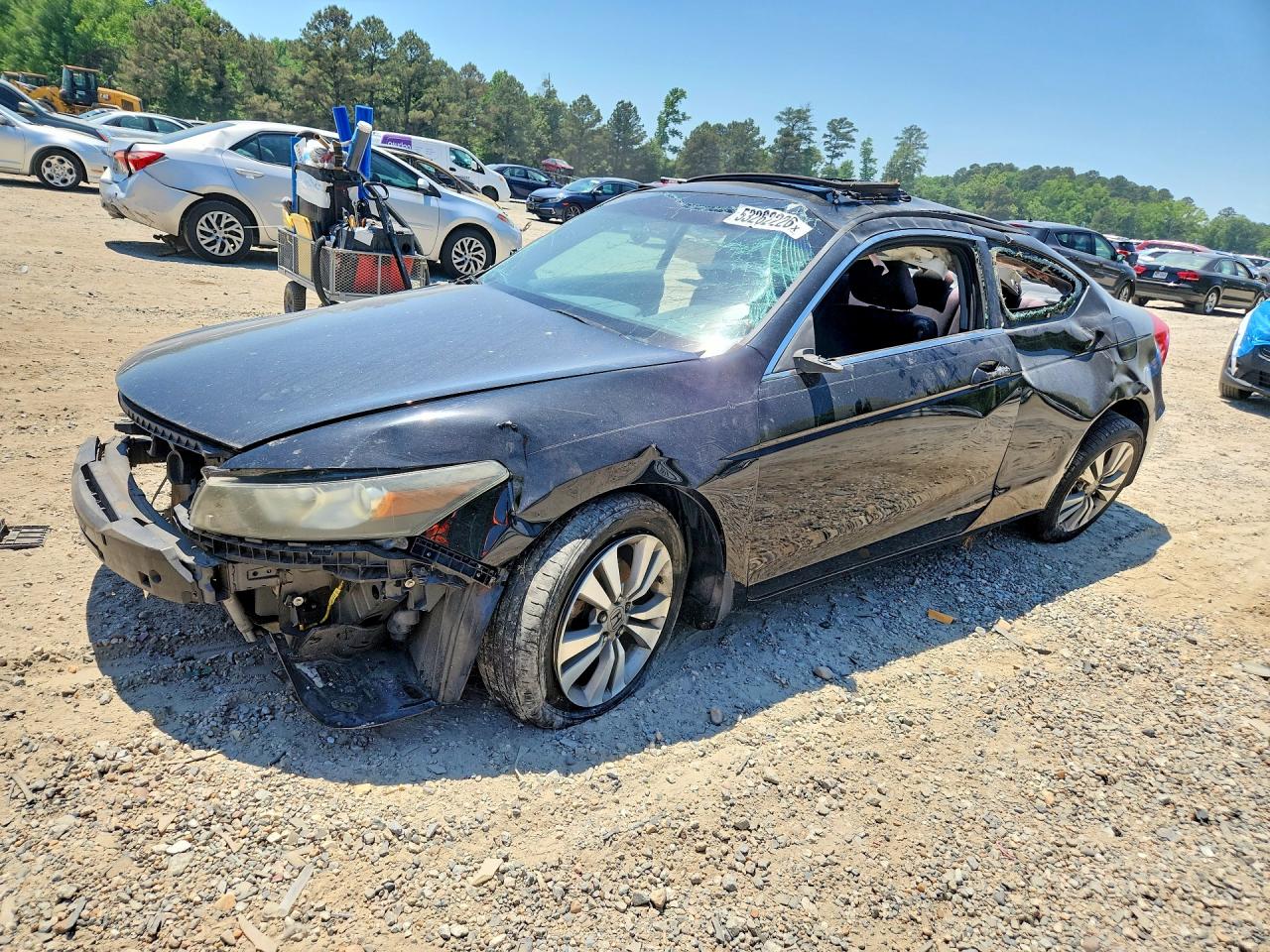 Salvage Honda Accord Image