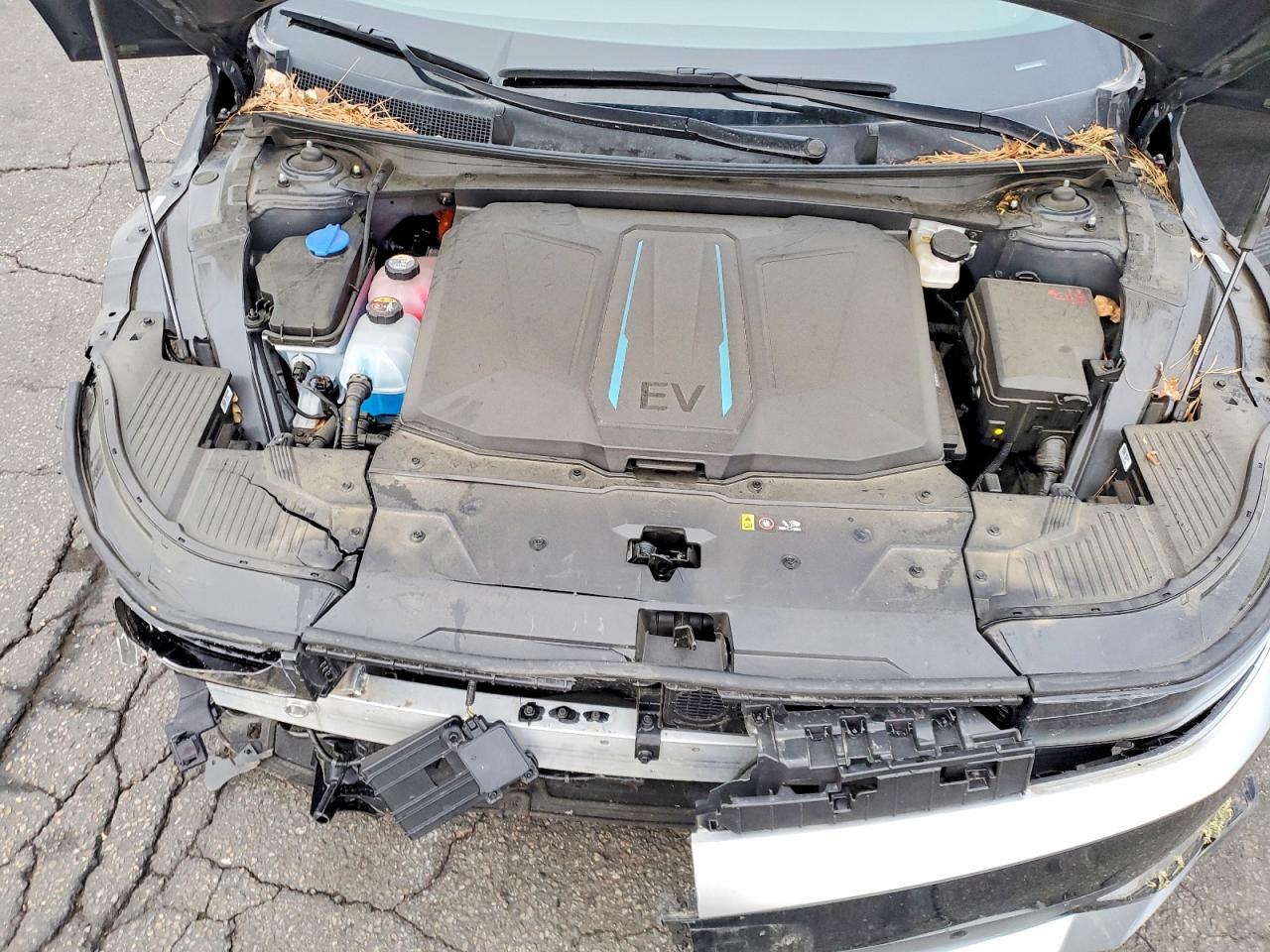 Hyundai Ioniq Sel