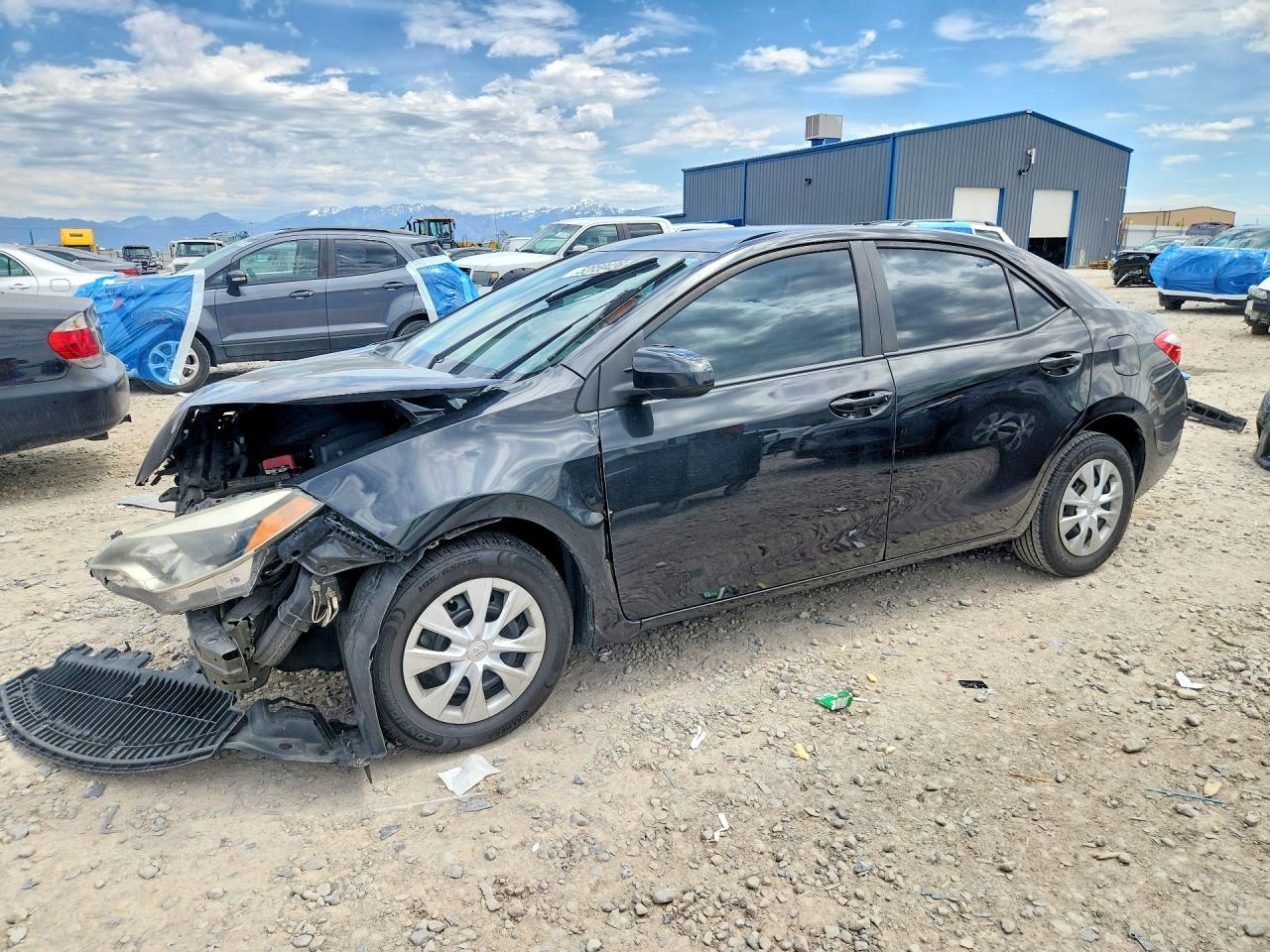 Salvage Toyota Corolla Image