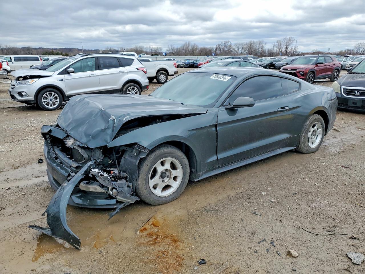 Salvage Ford Mustang Image