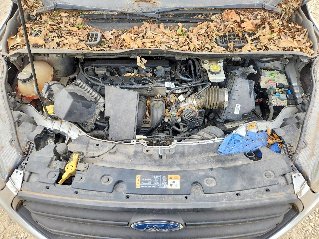 Ford Escape S