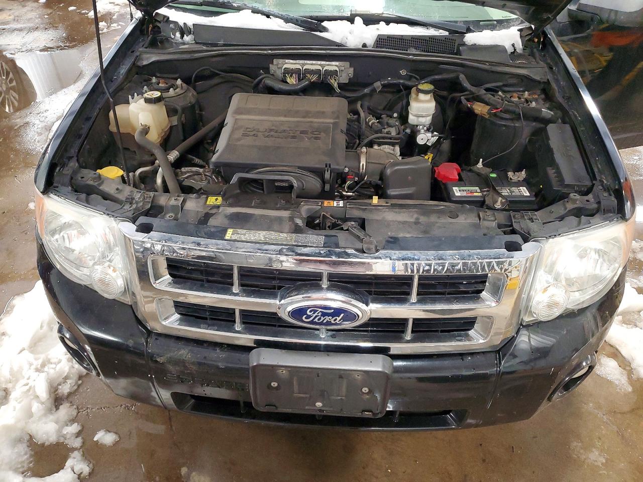 Ford Escape Xlt