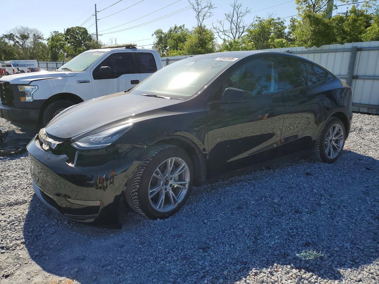 Salvage Tesla Model Y Image