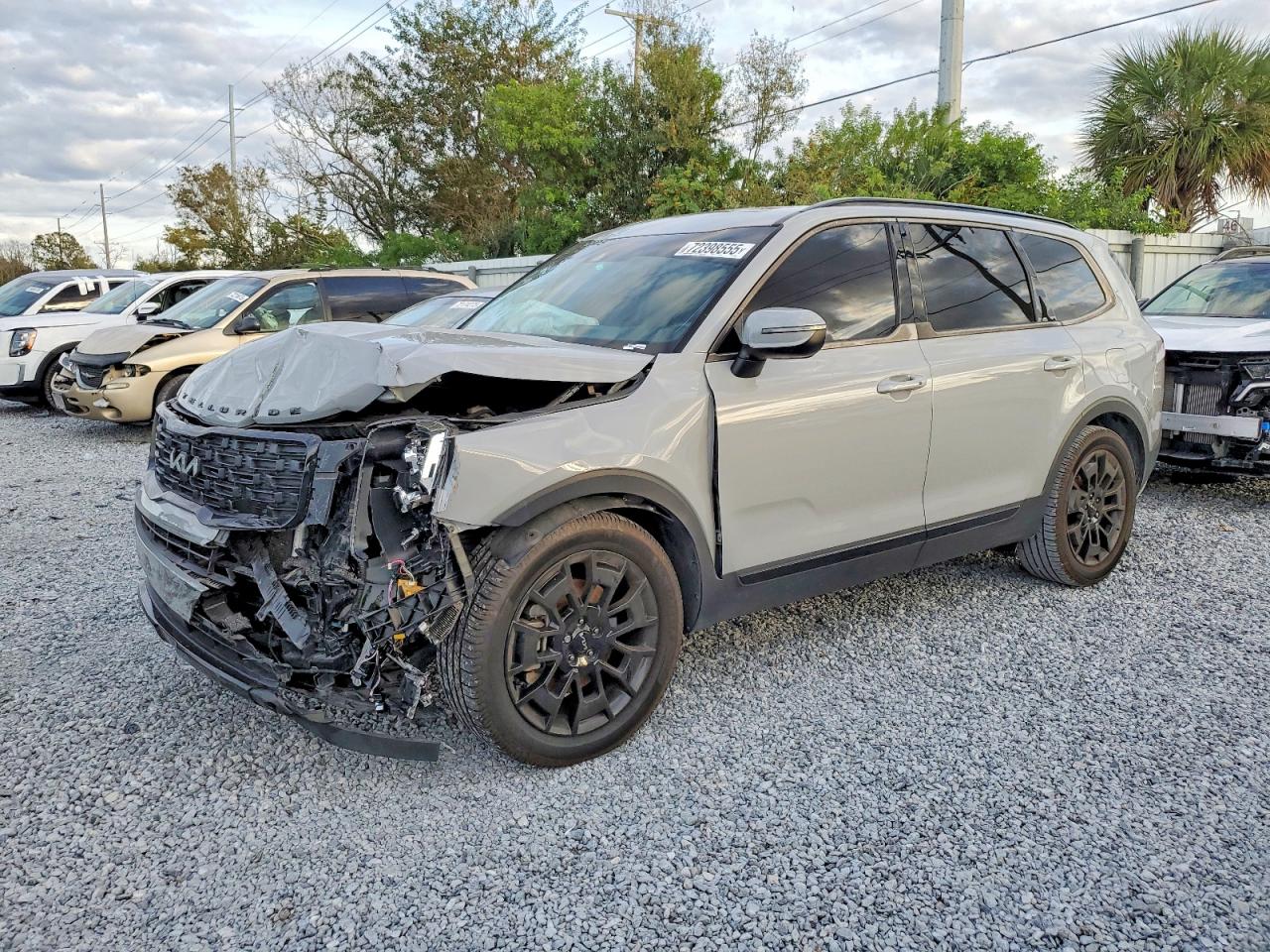 Salvage Kia Telluride Image