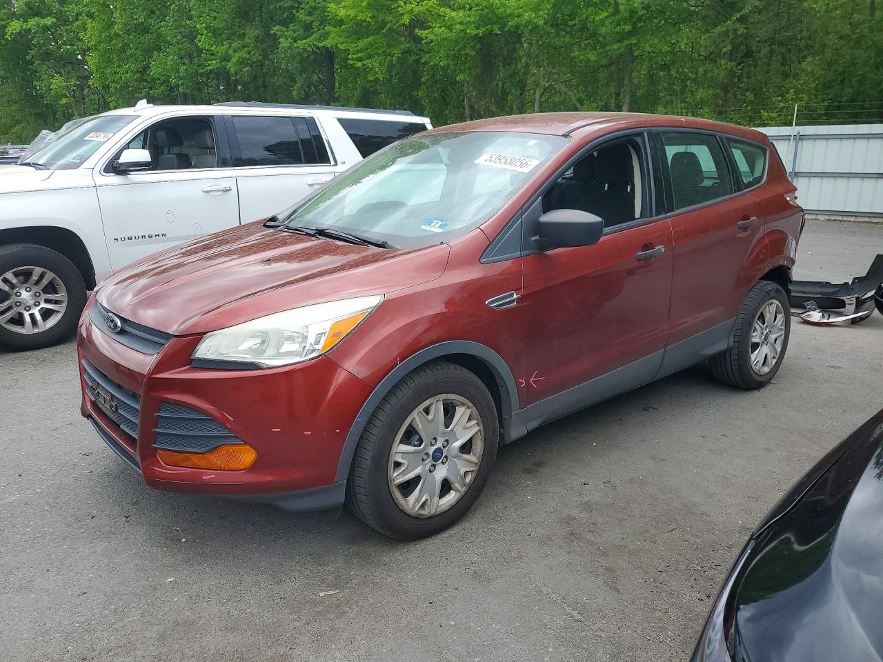 Salvage Ford Escape Image