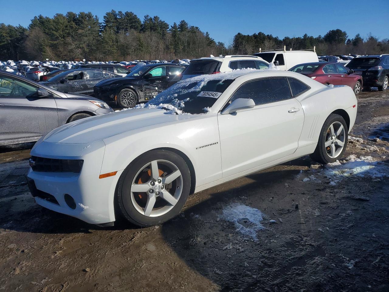 Salvage Chevrolet Camaro Image