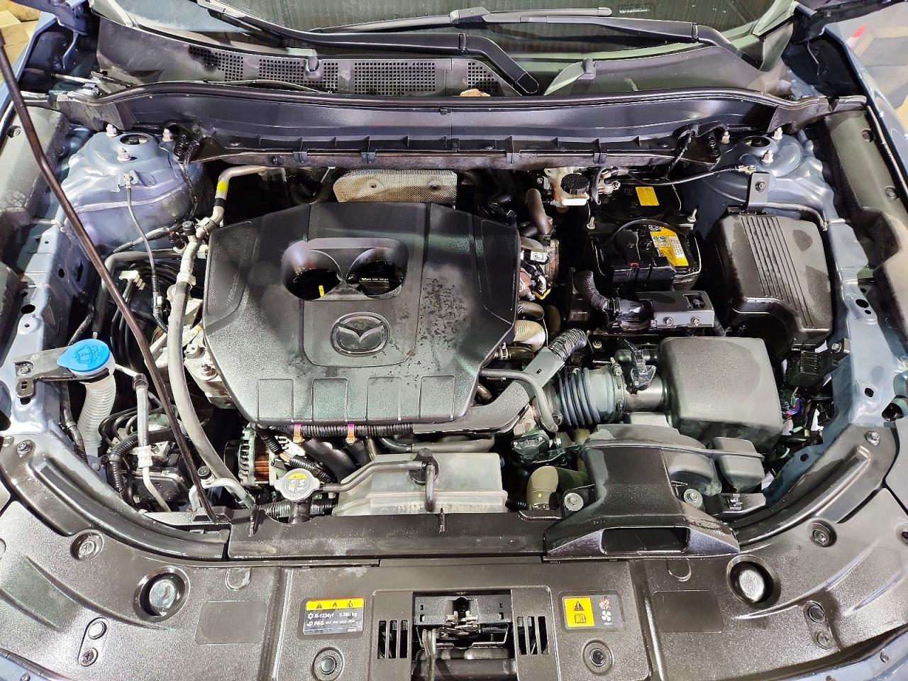 Mazda Cx Preferred