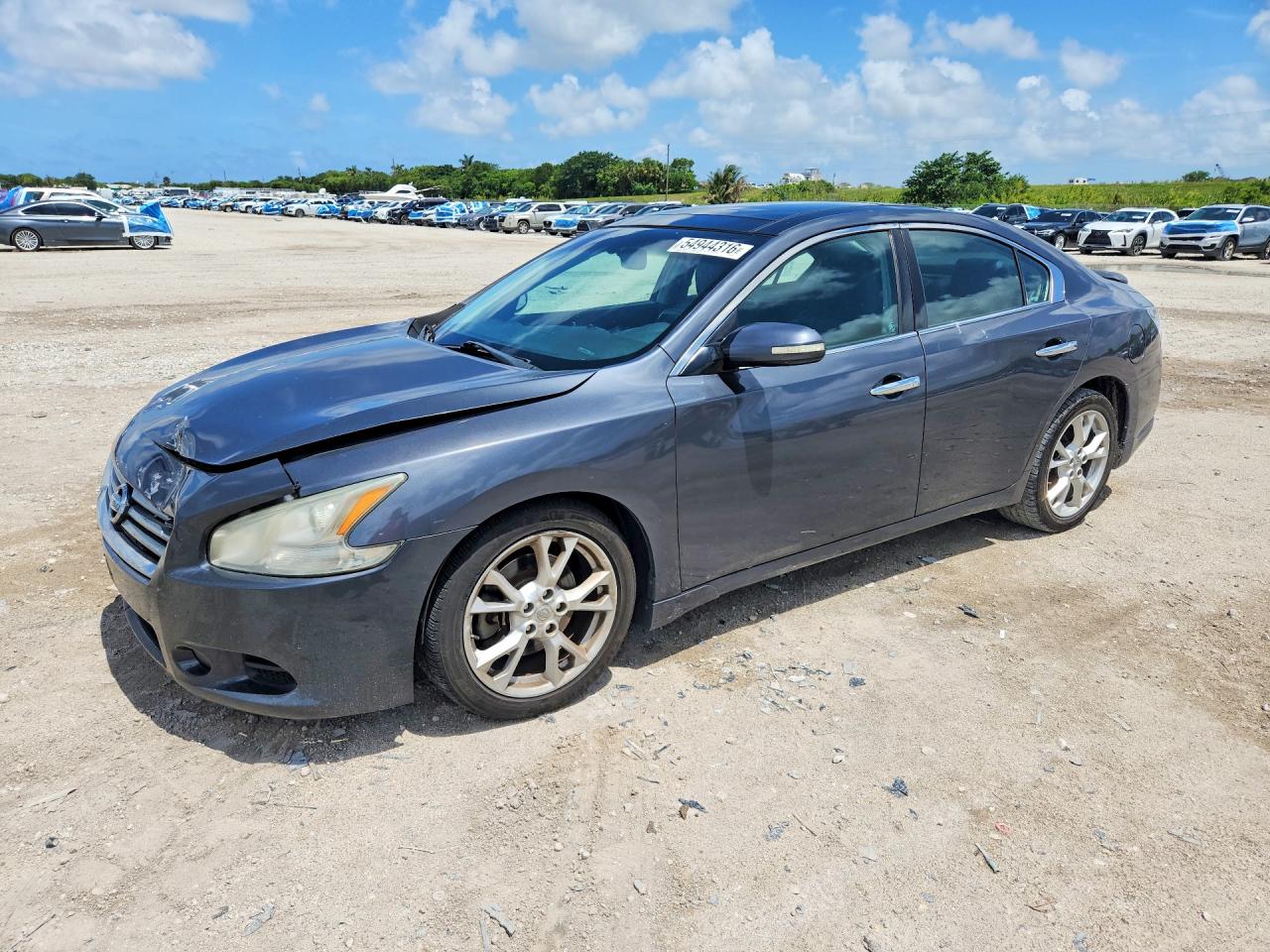 Salvage Nissan Maxima Image