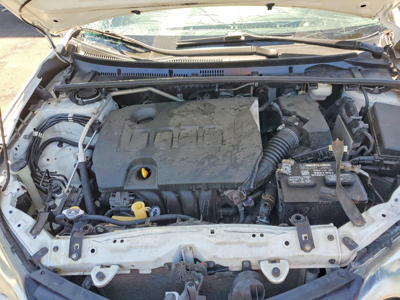 Toyota Corolla L