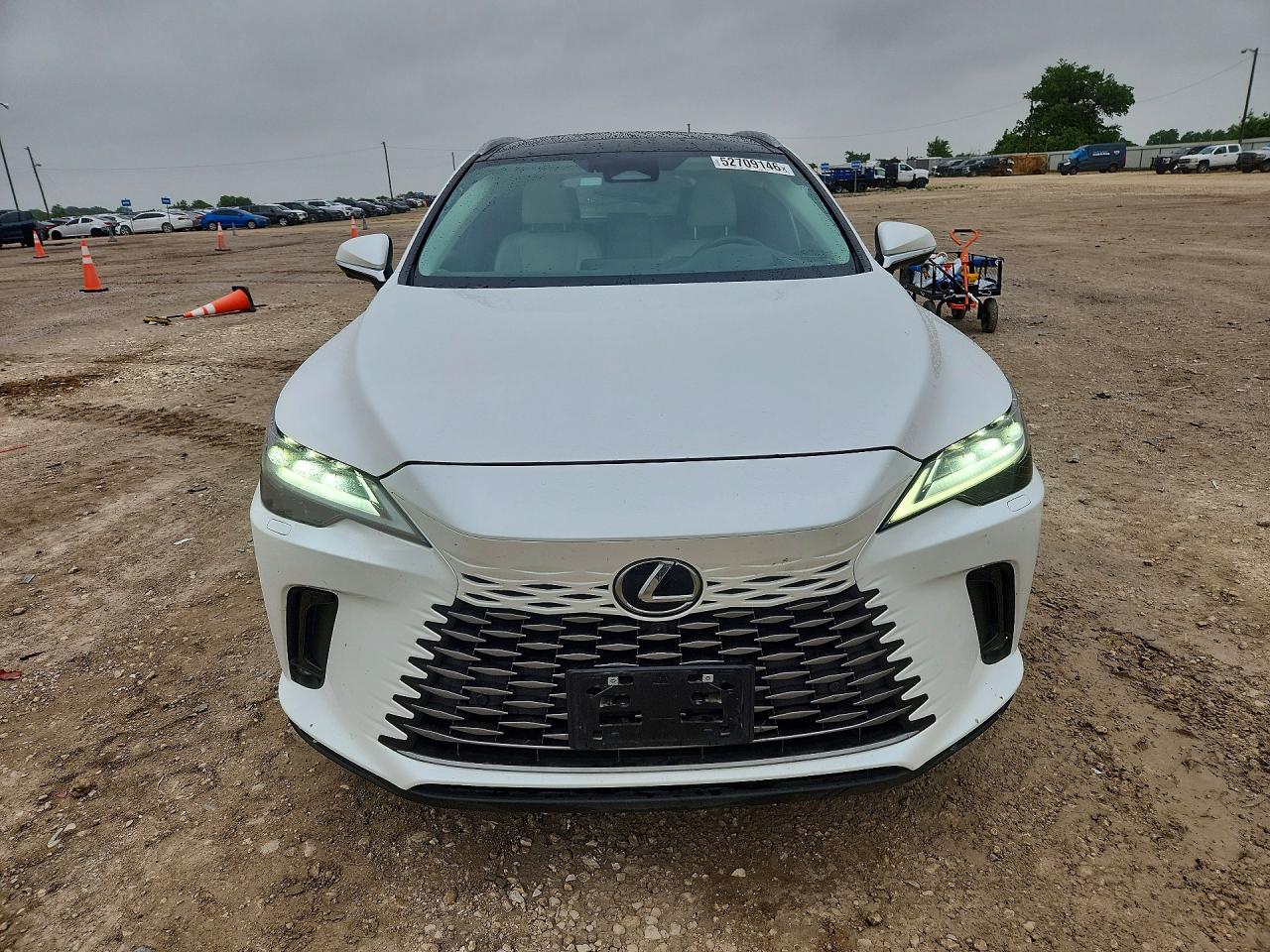 Lexus RX Luxury