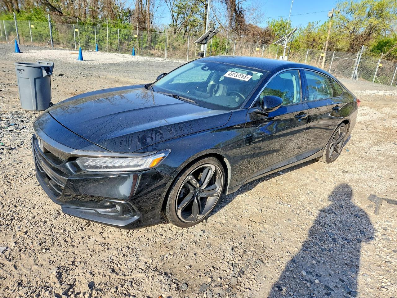 Salvage Honda Accord Image